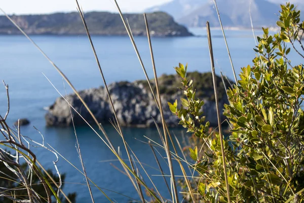 Hierba Sobre Fondo Las Rocas Mar Italia Calabria Panoramic Bird — Foto de Stock