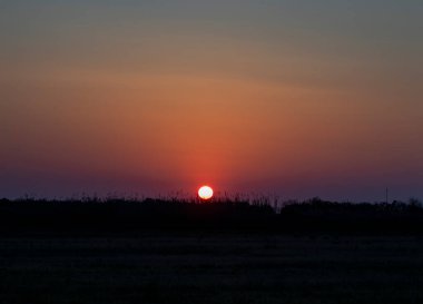 Travel Banner - Güney İtalya 'daki Tropikal Ağaçların Arkasında Günbatımı. Calabria 'da güzel bir gün batımı. Doğal Arkaplan.