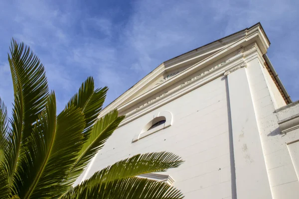 Tropical Palm Leaves Background White Large Building Trees Building Blue — Stock Photo, Image