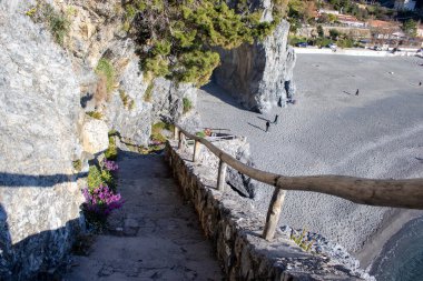 Çiçekler ve Kayalar, Güneş Işığı Altında Çiçekler ve Mavi Gök Altında Denizin Arkasında. Tyrhenian Güzel Denizi kıyısındaki merdiven. Flowers ve Grass on the Rocks 'la manzara. Calabria, İtalya Doğası.