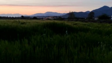 Güzel Deniz Burnu ve Dağ Ormanı 'nda Günbatımı. Ön planda Çim Hareketi. Doğa manzarası. Sunset on River through Silhouette of Grass 'da. Parlak Ilık Tonlama Filtresi. Tatiller, seyahatler, eğlence. 4K