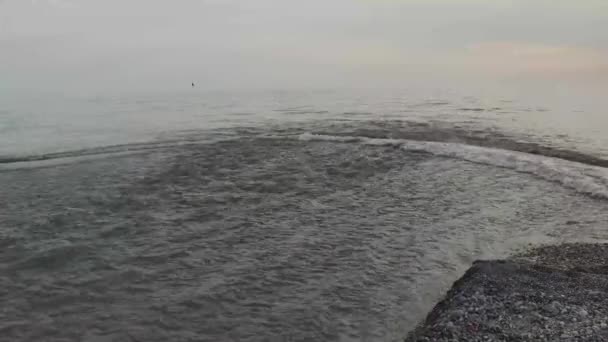 河水和海水在涨潮和退潮时汇合在一起 意大利卡拉布里亚的漩涡 山水汹涌 石头汹涌的山河 河水流入大海 那里有一个岩石的海滩 — 图库视频影像