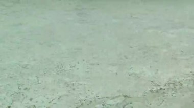 İtalya, Roma 'daki Trevi Çeşmesi. Çeşme heykellerinin dar bir görüntüsü. Roma 'daki Navona Meydanı çeşmesi.