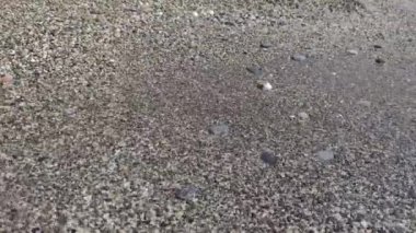 Sahilde kum ve kumsal taşları kırılıyor..