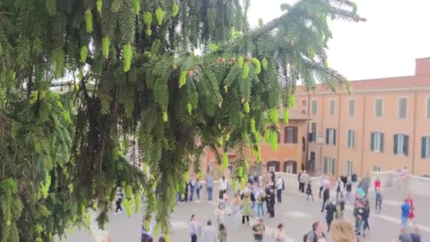 Rom Italien Juni 2022 Carlo Maderno Brunnen Auf Dem Petersplatz — Stockvideo