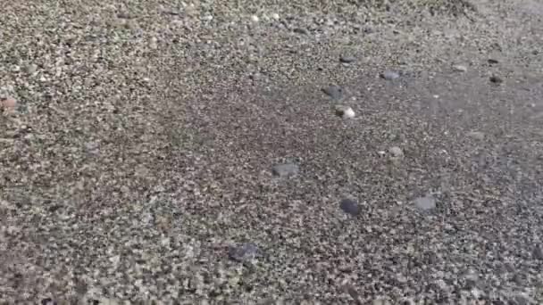 Łamanie Piasku Fali Kamieni Plażowych Brzegu — Wideo stockowe