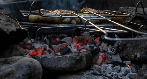 Gegrilde Gebakken Kippendij Heerlijke Kippenpoten Vleugels Gegrild Met Vlam Picknick — Stockfoto