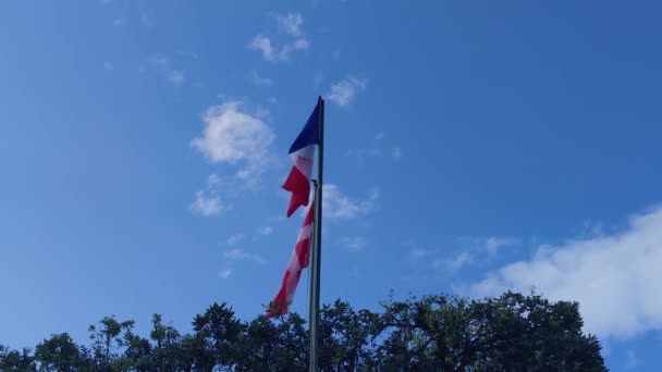 Flags France Denmark Blue Sky Flags European Countries Flutter Wind — ストック動画