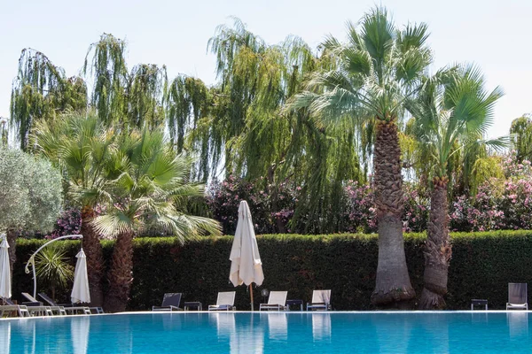 Swimming pool in the garden. Beautiful blue water swimming pool surrounded by palm trees and lounge chairs.