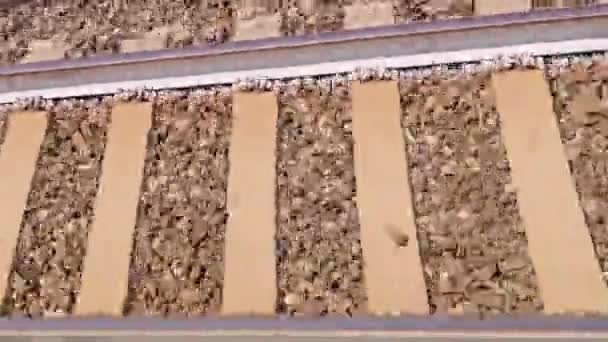 View Rails While Train Moving Rails Sleepers Speed Taken Window — Vídeo de stock