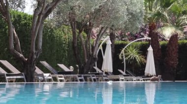 Swimming Pool in the Garden. Beautiful Swimming Pool with Azure Water, Surrounded by Palm Trees and Sun Loungers.