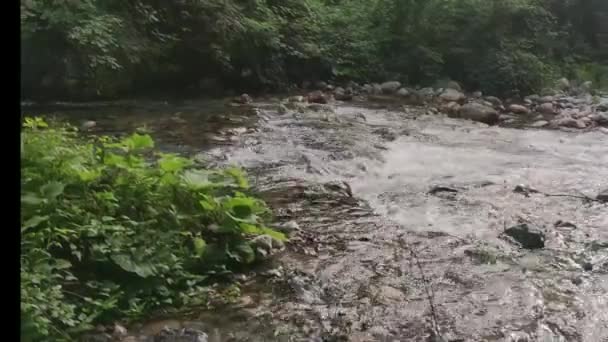 Mountain River Clean Clear Water Nature Reserve Calabria Southern Italy — Vídeos de Stock