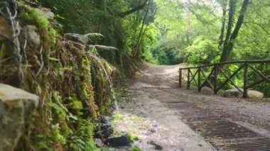 Water flows from a wall against the backdrop of tropical vegetation in a park in a forest among the mountains. Filmed in a nature reserve in the mountains in southern Italy, in Calabria.