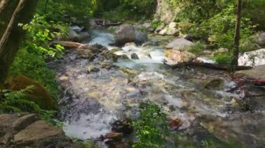 River Flows Among Mountain Landscapes. Clear Mountain Water.