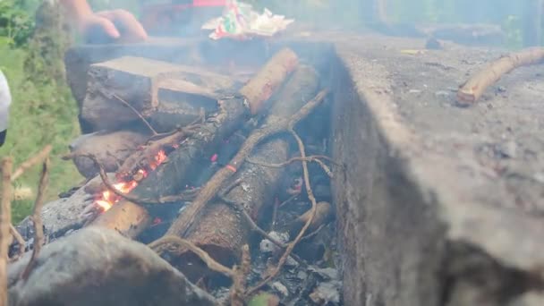 Bonfire Campfire Fire Flames Grilling Steak Bbq Glowing Hot Charcoal — Vídeo de Stock