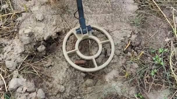 Military Sapper Metal Detector Field Explosive Ordnance Disposal Operation Detects — Wideo stockowe