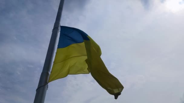Big National Flag Ukraine Flutters Blue Sky Democracy Politics Country — Video