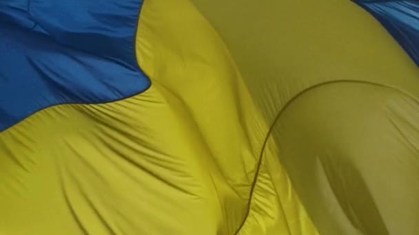 Ukraine State Flag Ukrainian Flag Flutters Wind Yellow Blue Color — ストック動画