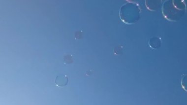 Animation of Several Translucent Bubbles Floating in the Air Against a Blue Sky. Color and Movement Concept. Happy Childhood.