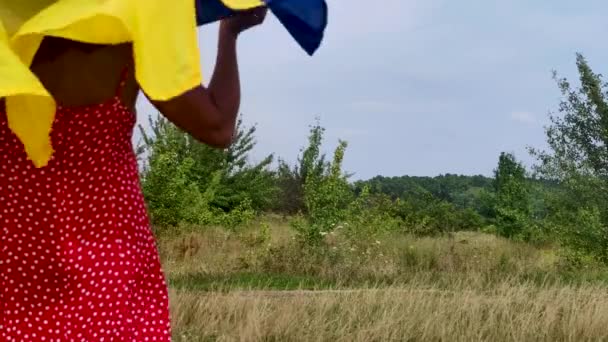 Girl Yellow Blue Flag Ukraine Field City Slow Motion Lifestyle — Stock video