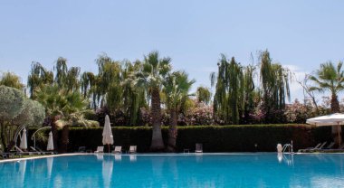 Beach Pool. Tropical Garden Pool Villa Swimming Pool. Beautiful Luxury Umbrellas and Chairs Around the Outdoor Pool at the Hotel and Resort with Coconut Tree.