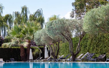 Beach Pool. Tropical Garden Pool Villa Swimming Pool. Beautiful Luxury Umbrellas and Chairs Around the Outdoor Pool at the Hotel and Resort with Coconut Tree.