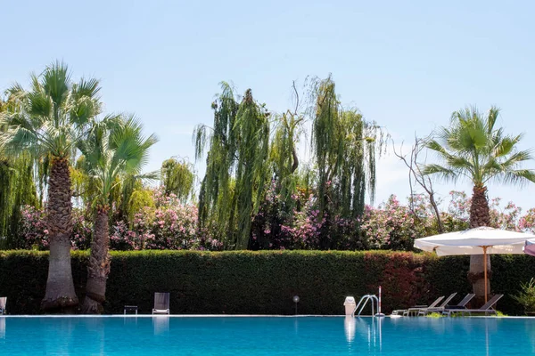 Beach Pool. Tropical Garden Pool Villa Swimming Pool. Beautiful Luxury Umbrellas and Chairs Around the Outdoor Pool at the Hotel and Resort with Coconut Tree.