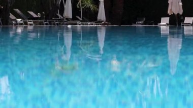Clean, Blue and Radiant Water in the Pool Against the Backdrop of Tropical Trees, Palm Trees, Flowers, Beach Chairs. Calm Peaceful Environment. Summer Background. Rest After a Working Day.
