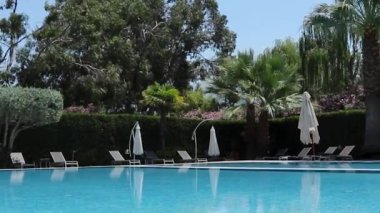 Clean, Blue and Radiant Water in the Pool Against the Backdrop of Tropical Trees, Palm Trees, Flowers, Beach Chairs. Calm Peaceful Environment. Summer Background. Rest After a Working Day.