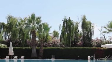 Blue and Shining Water in the Pool Against the Backdrop of Tropical Trees, Palm Trees, Flowers, Sun Loungers. Calm Peaceful Environment. Summer Background. Vacation Concept. Good Place to Relax With the Whole Family.
