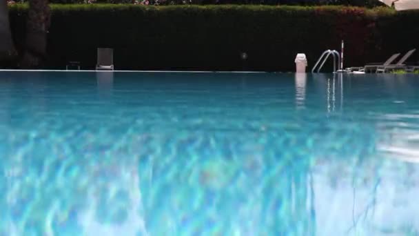 Blue Shining Water Pool Backdrop Tropical Trees Palm Trees Flowers — Vídeo de Stock