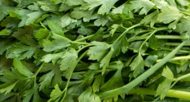Fresh Herbs Prepared for Salads. Parsley and Green Onions. Proper Nutrition, Vitamins. Parsley Leaf Close-up. Natural Background. Green Leaves, Vegetarianism and Proper Nutrition.