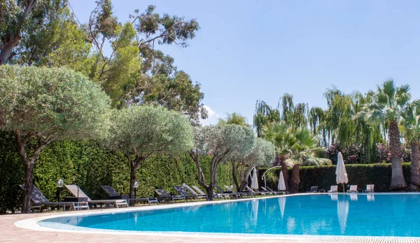 Beach Pool. Tropical Garden Pool Villa Swimming Pool. Beautiful Luxury Umbrellas and Chairs Around the Outdoor Pool at the Hotel and Resort with Coconut Tree.