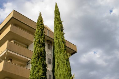 Evin yakınındaki ağaçlar. Samimi bir ev. Güzel manzara.