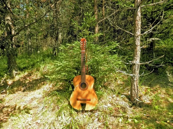 Instrument muzyczny i przyjaciółmi małe drzewo w górach — Zdjęcie stockowe