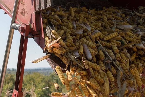 Oplaadbaar Mais Oogstmachine Maïs Opbrengst Herfst — Stockfoto