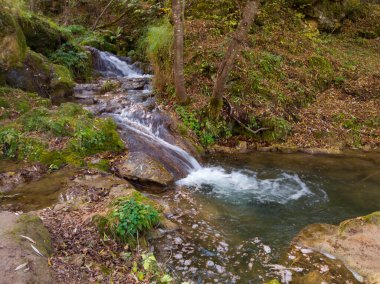Sırbistan 'daki Zlatibor dağının yamaçlarında Gostilje şelalesi yakınlarındaki akıntı ve çağlayanlar