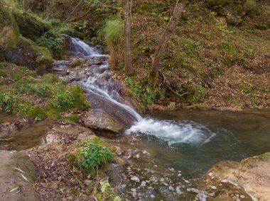 Sırbistan 'daki Zlatibor dağının yamaçlarında Gostilje şelalesi yakınlarındaki akıntı ve çağlayanlar