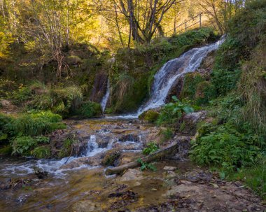 Sırbistan 'daki Zlatibor dağının yamaçlarında Gostilje şelalesi yakınlarındaki akıntı ve çağlayanlar