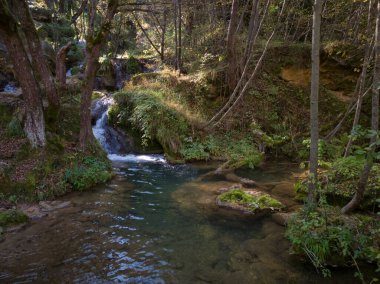 Sırbistan 'daki Zlatibor dağının yamaçlarında Gostilje şelalesi yakınlarındaki akıntı ve çağlayanlar