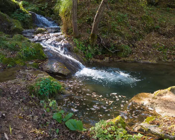 Sırbistan 'daki Zlatibor dağının yamaçlarında Gostilje şelalesi yakınlarındaki akıntı ve çağlayanlar