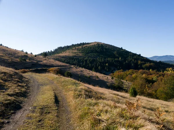 Camino Tierra Pico Montaña Crni Vrh Montaña Zlatibor Serbia —  Fotos de Stock