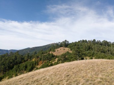 Sırbistan 'ın Zlatibor Dağı üzerindeki Dobroselica köyündeki dağ manzarası