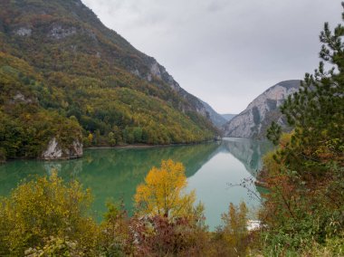 Drina nehrinin sonbahar renklerinde kanyonu bulutlu bir günde bitki örtüsü üzerinde