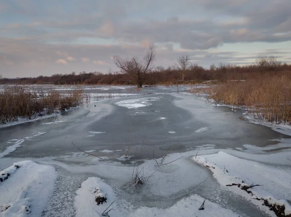 Yapraksız söğütsüz ve uzun çimenli donmuş bataklıkların kış manzarası, soğuk kış akşamı gökyüzünde bulutlar...