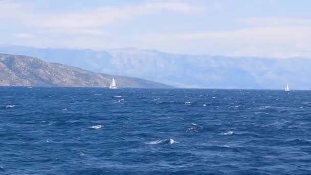 View Mountain Biokovo Croatia Moving Ship Adriatic Sea — Stock videók
