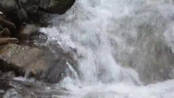 Закрытие Потока Речной Воды Над Камнем Деталь Горного Потока — стоковое видео