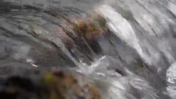 Закрытие Потока Речной Воды Над Камнем Деталь Горного Потока — стоковое видео