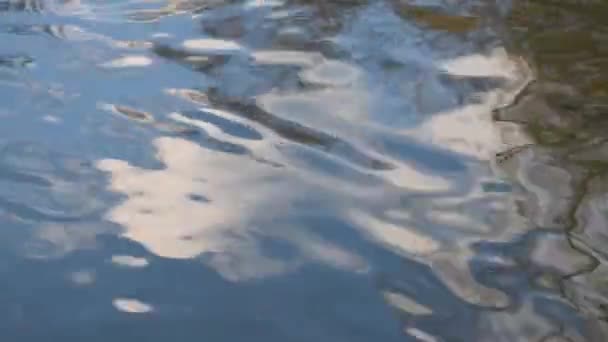 Абстрактное Отражение Голубого Неба Облачными Древесными Навесами Волнистой Поверхности Воды — стоковое видео