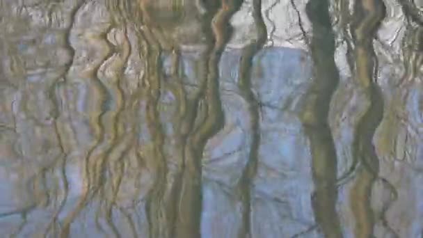 Отражение Голых Деревьев Волнистой Поверхности Воды Естественное Психоделическое Волнообразное Отражение — стоковое видео
